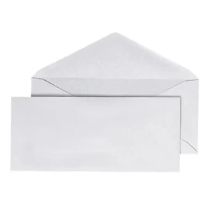 Challenge envelope 4 1/8 X 9 1/2 White