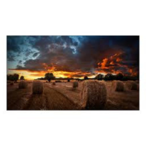 Samsung VMB-U Series 46"